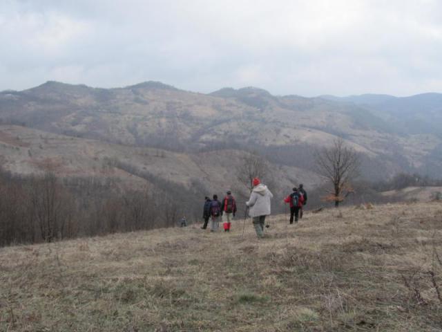 20130216 Hársvölgy 440